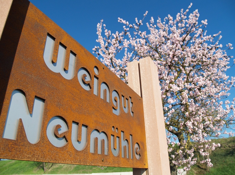 Weingut Neumühle Prior in Worms