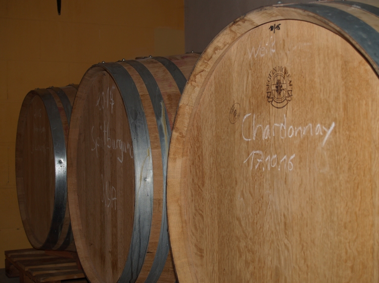 Ein Blick in den Weinkeller mit den Holzfässern - Weingut Neumuehle Worms