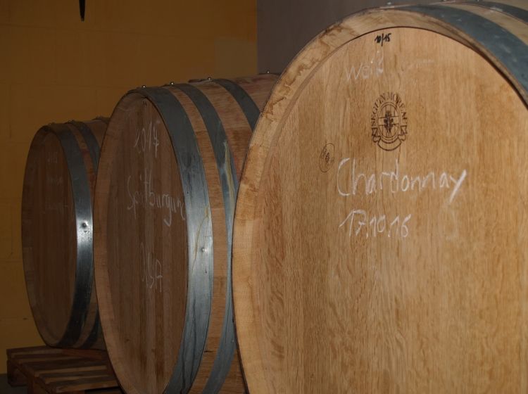 Ein Blick in den Weinkeller mit den Holzfässern - Weingut Neumuehle Worms
